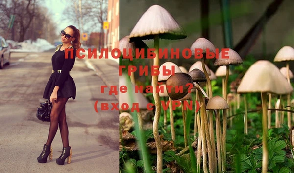бутират Медвежьегорск